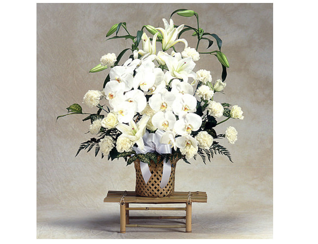 AOYAMA HANANO　公式サイト　胡蝶蘭とユリの細網篭花（枕花・ご供花）